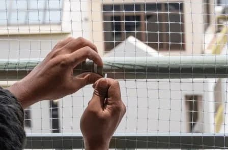 Bird Netting Services